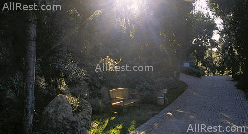 Mezzatorre Resort & Spa 12